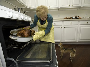 Holiday turkey coming out of the oven with a dog
