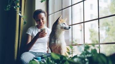 Pretty young woman is sitting on window sill and using smartphone while her cute calm shiba inu dog is sitting near her enjoying view. Leisure and houses concept.