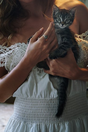 Young woman wearing off-shoulder Victorian dress while holding and pampering little cat. Nicely fits for book cover