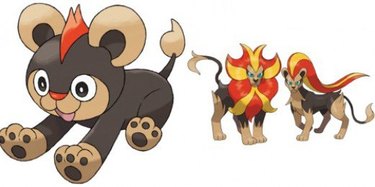 Litleo and Pyroar Pokemon Cats