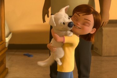 16 Ways Disney Movies Turned You Into An Animal Lover | Cuteness
