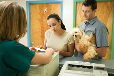 Couple checking their small dog in at the vet