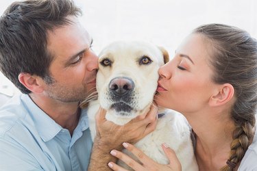 Man and woman kissing a white dog