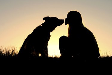 Silhouette of woman kissing dog with sunset behind them