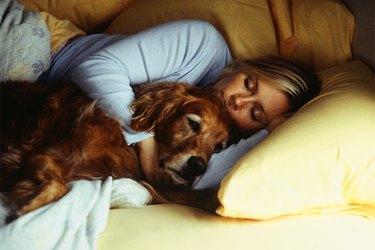 Woman and large brown dog snuggling in bed