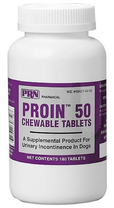 How to Use Proin for Dogs to Treat Canine Urinary Incontinence | Cuteness