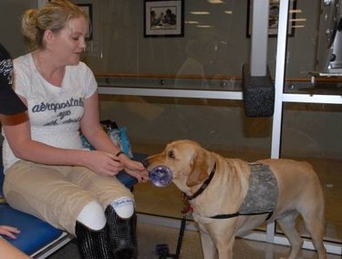 A woman with a brown service dog