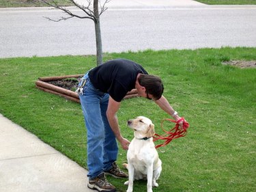 Man with white dog on leash outside