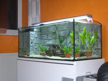 Imagitarium Aquarium Strip Thermometer