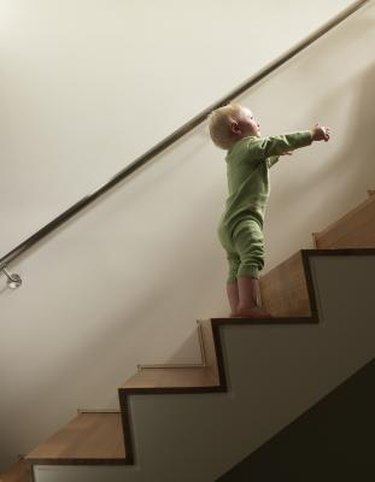 Teaching an animal a new behavior can be a step-by-step process.