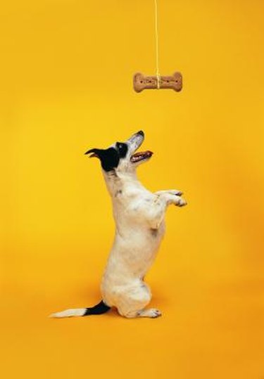 For both your own sake and the duck's, simplify the system of reward when possible.