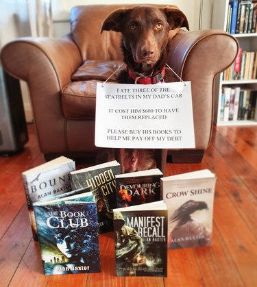 man sells books to pay off debt incurred by his dog