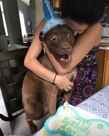Dog excited about his surprise birthday cake