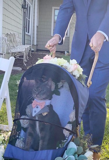 cat dressed in tuxedo being pushed in baby stroller at wedding