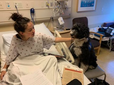 A black and white poodle mix sits beside a young woman in a hospital bed.