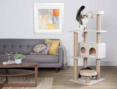 tall cat tree with toys