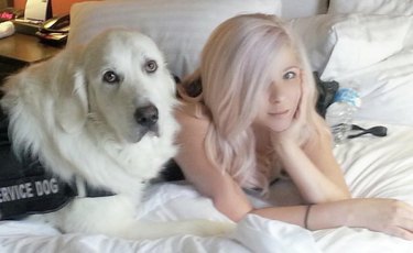 A white fluffy dog in a service vest lying on a bed next to their human.