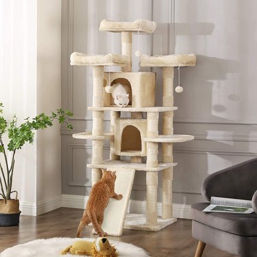 The Best Cat Trees in 2022 | Cuteness