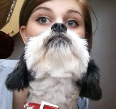 dog photobomb makes lady look like she has dog beard