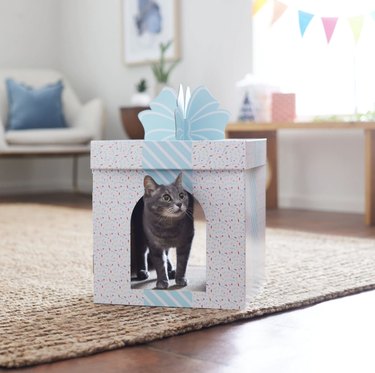 Cardboard cat house shaped like a birthday gift with a blue bow on top and patterned gift wrap.