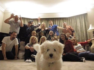 dog photobombs family portrait