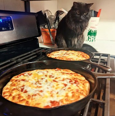 Stove with two skillet pizzas sitting on the burners and a fluffy cat sitting on the counter and staring.