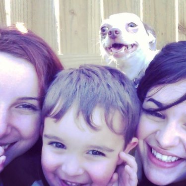 dog photobombs family photo