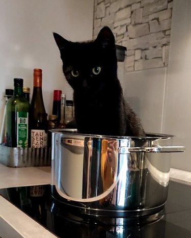Black kitten sitting inside a large cooking pot on a kitchen counter.