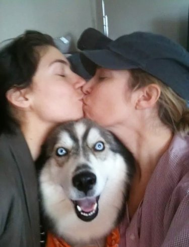 dog photobomb sandwiched between couple kissing