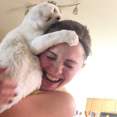 rescue cat hugs woman
