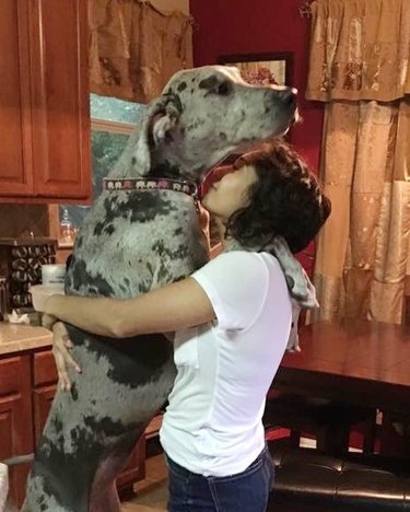 woman dancing with great dane dog