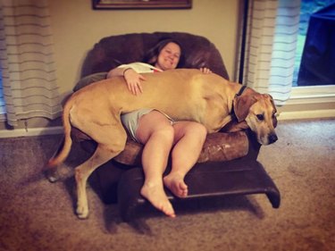 giant dog lays on woman's lap