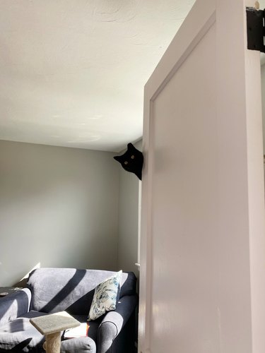 Black cat peering around theh top of a door.