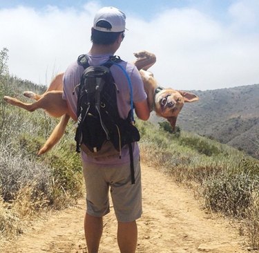 tired dog needs to be carried at end of hike