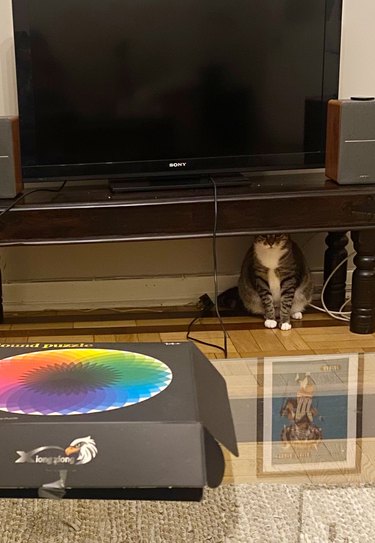 Cat hiding under entertainment center table.