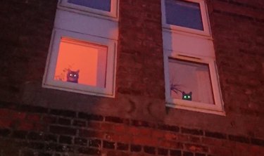 Close-up of two cats staring down from 2nd floor windows at dusk.