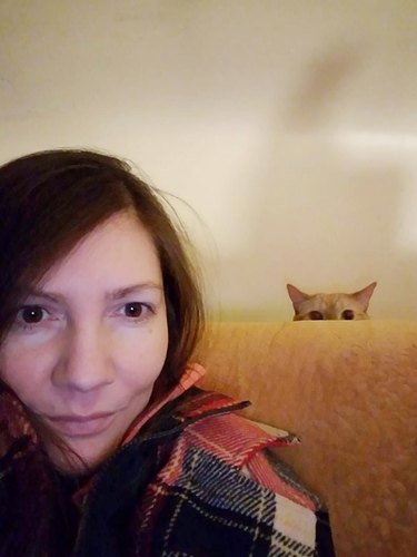 Cat photobombing woman's selfie from behind a couch.