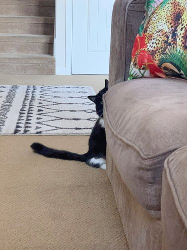 Black and white cat hiding behind arm of couch.