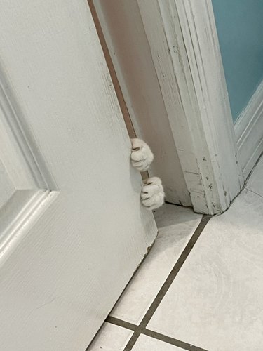 Cat's paws clinging to a sliding bathroom door and trying to open it.