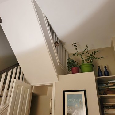 Cat peeking through staircase and judging people below.