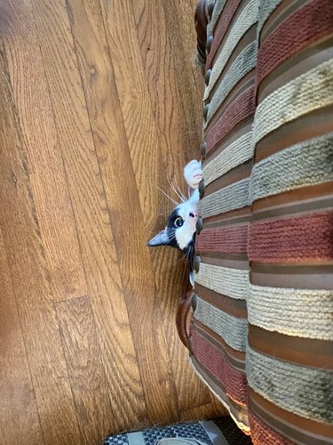 Cat peaking out from hiding under a striped couch.