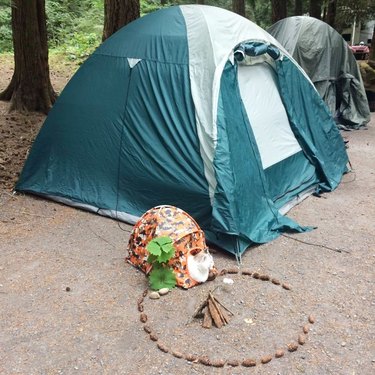 Cat with tent and little campfire