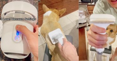 TikTok viral pet grooming kit vacuum from Amazon.