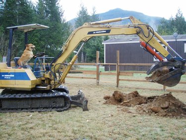 Dog sits behind wheel of excavator.