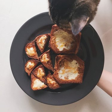cat licking toast