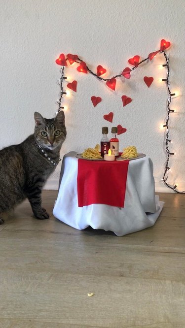 A tabby cat sits beside a little table that looks to be decorated for a Valentine's dinner date.