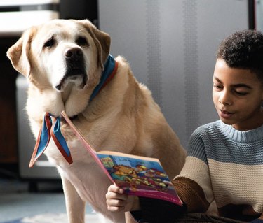little boy reads book to dog