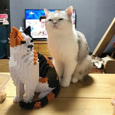 cat standing next to lego cat