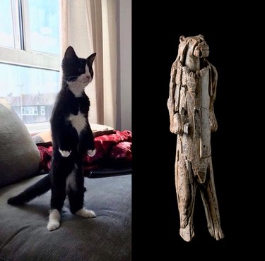 cat looks like Lion Man sculpture