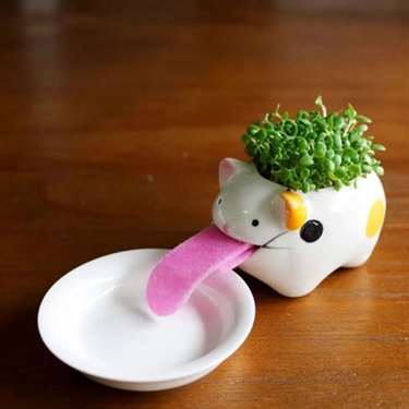 Self-watering cat planter with a long 'tongue' that sucks up water for the plant out of a dish.